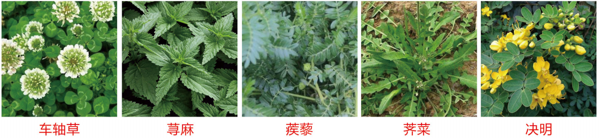 1664345438599108.png 37-37.png