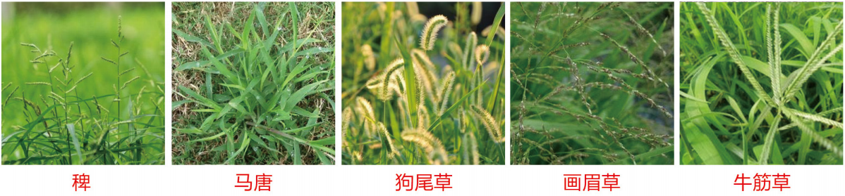 1664346546557534.png 40-40.png