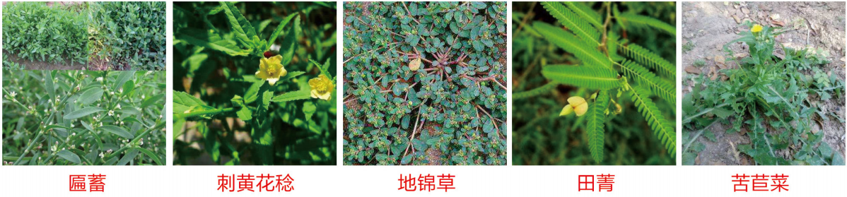 1664347359662131.png 44-44.png